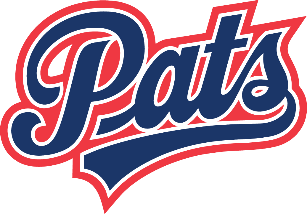 Regina Pats 2014-Pres Primary Logo iron on heat transfer